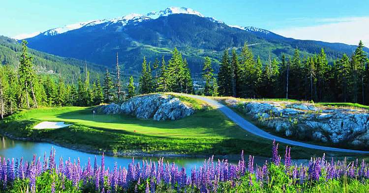 Whistler
